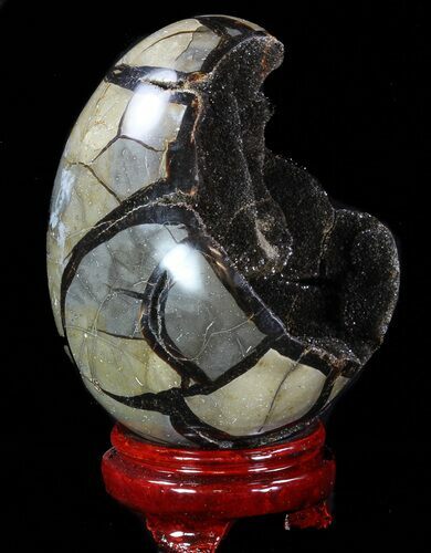 Septarian Dragon Egg Geode - Crystal Filled #88291